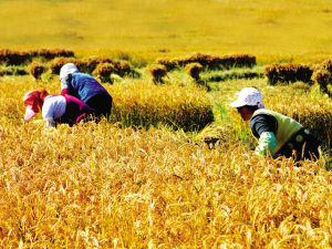 kaiyun开云官方在线登录