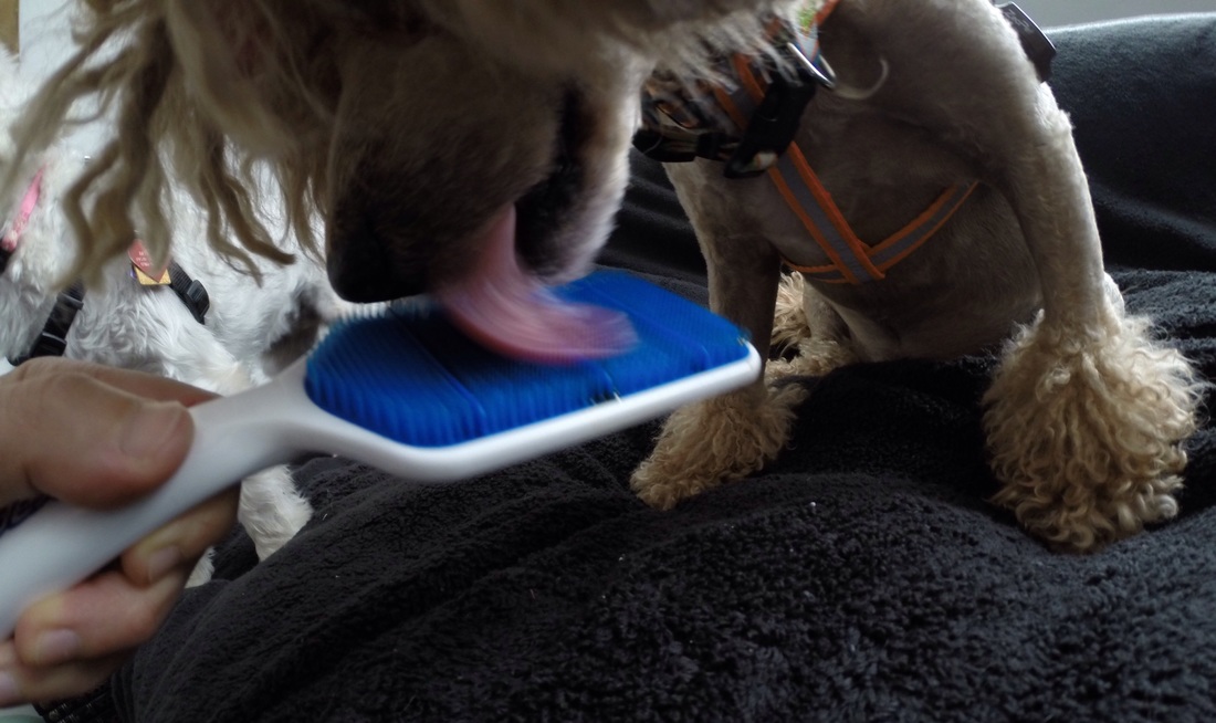 kaiyun开云网页版