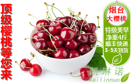 kaiyun开云网页版